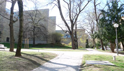 romantischer Weg um die Neue Pinakotheik
