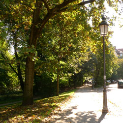 vor_dem_englischen_Garten